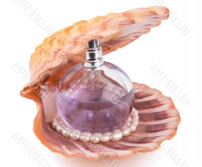 Perfume in a sea shell