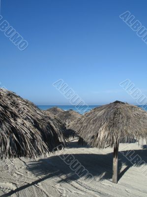 palm parasols on the beach
