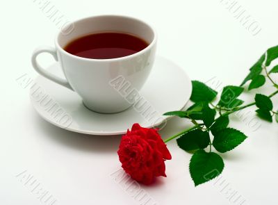 Mug and a scarlet rose