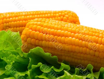 Corn