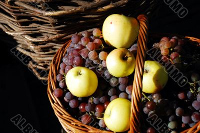 Basket with grapes and apples