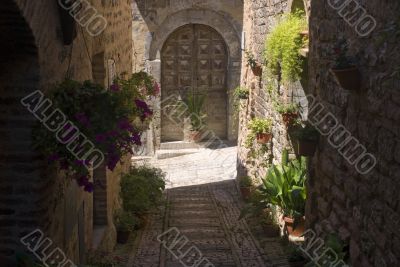 Spello - Old houses with plants and flowers