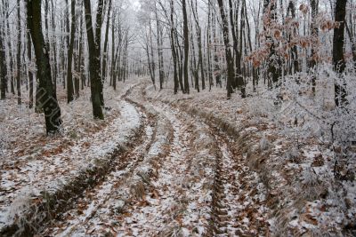 Winter
