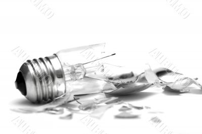 Bulb