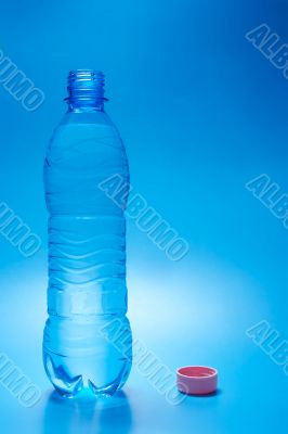 Bottle