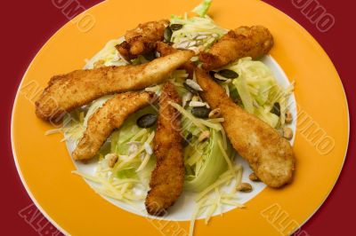 Salad with turkey stripes