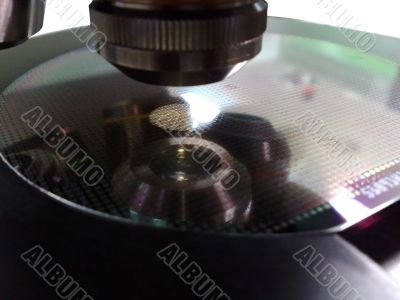 Silicon wafer under a microscope