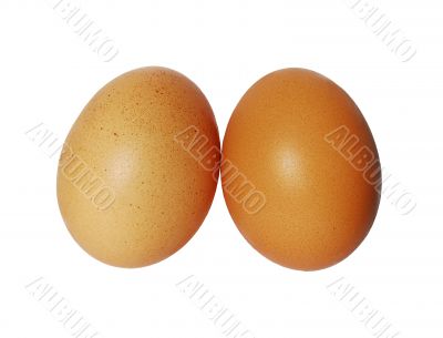 Two eggs isolated