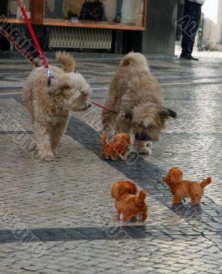 Meeting of live dogs with clockwork dog toys