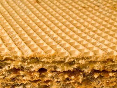 Wafer tart