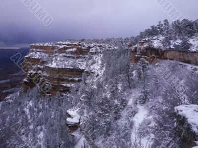 Grand Canyon in winter