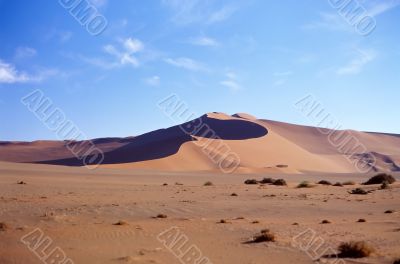 Desert