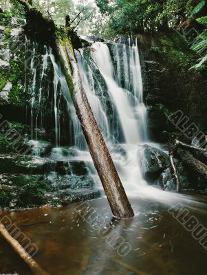 Forest waterfall
