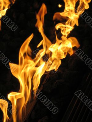 orange flames and black