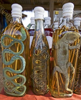 Asian spirits with reptiles