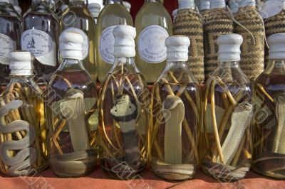 Asian spirits with reptiles