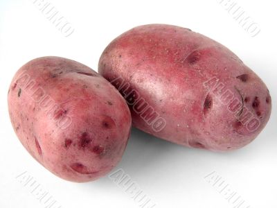 potato