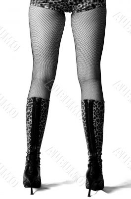 woman legs