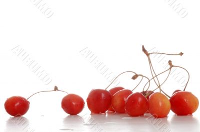 Wet cherry