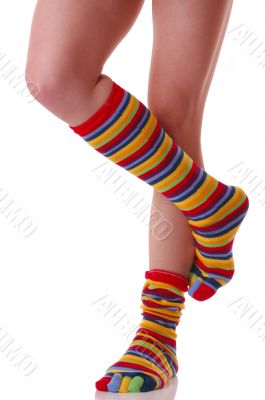 socks, many colors