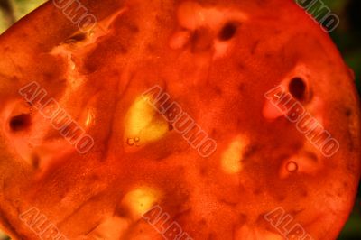 Organic Tomatoes