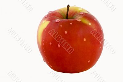 Red apple with water drops