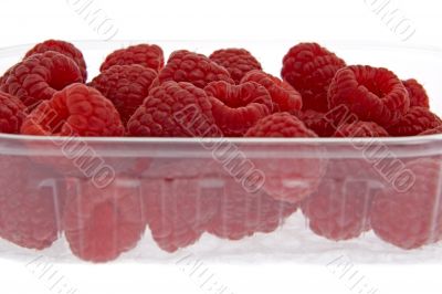 Raspberries