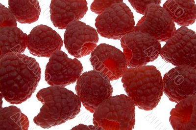 Raspberries as Background
