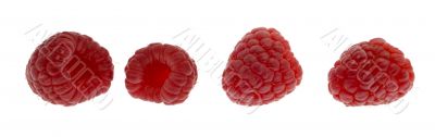 Raspberries