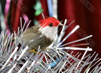 decorative birdy