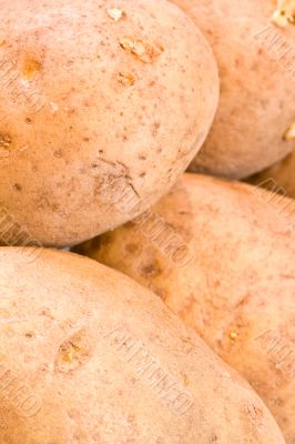 potato