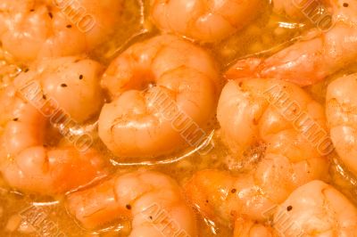 shrimp