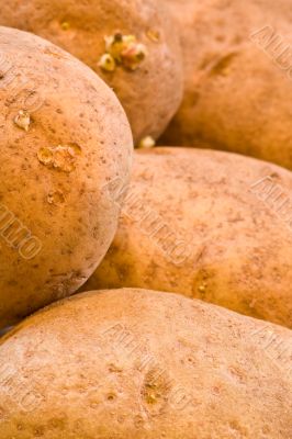 potato