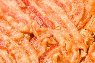 bacon