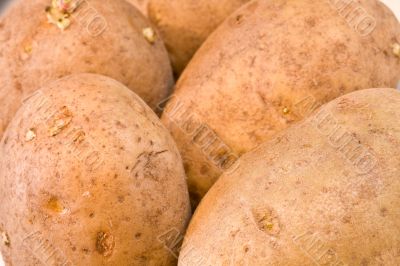 potato