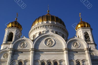 Domes