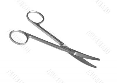Scissors