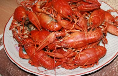 boiled crawfish