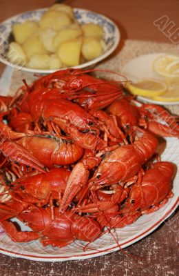 Fresh crawfish with garnish