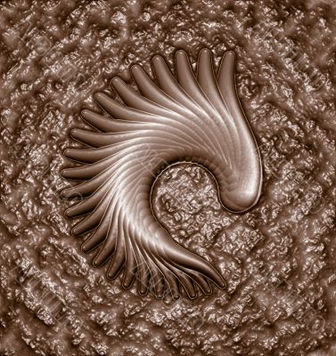 fossil