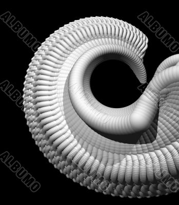 abstract shell