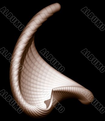 abstract shell