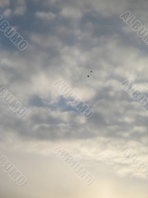 cloudy and blue sky
