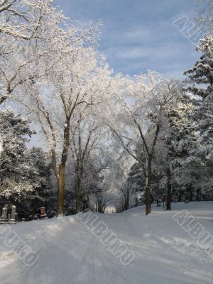 cemetery road covered with snow