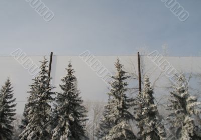 winter forest behind an fence