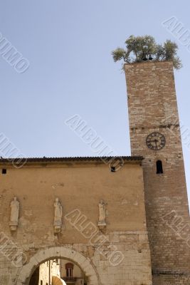 Entrance to Spello and tower