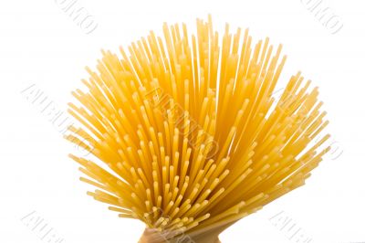 spaghetti