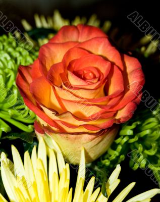 Bouquet with red rose