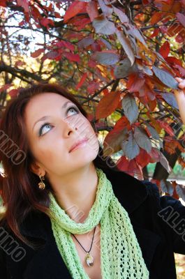 Under red leaves
