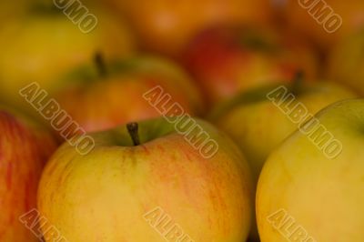 apples